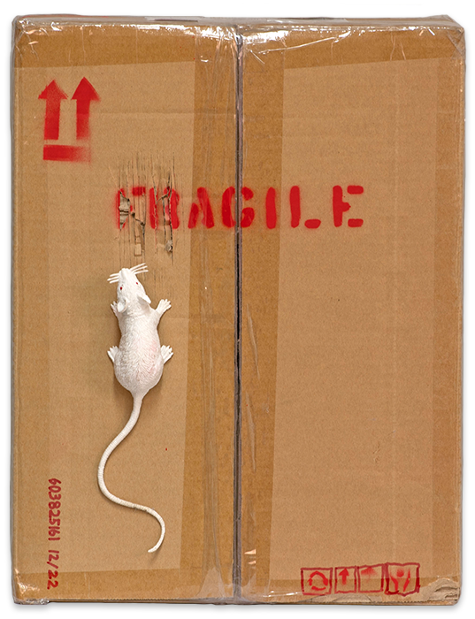 Banksy Fragile